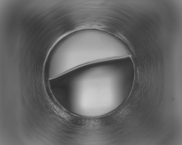 X0000054431020200507290946