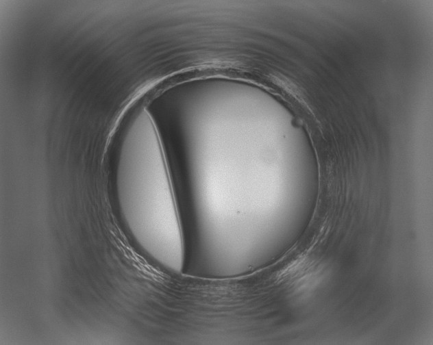 X0000054431021200507290946