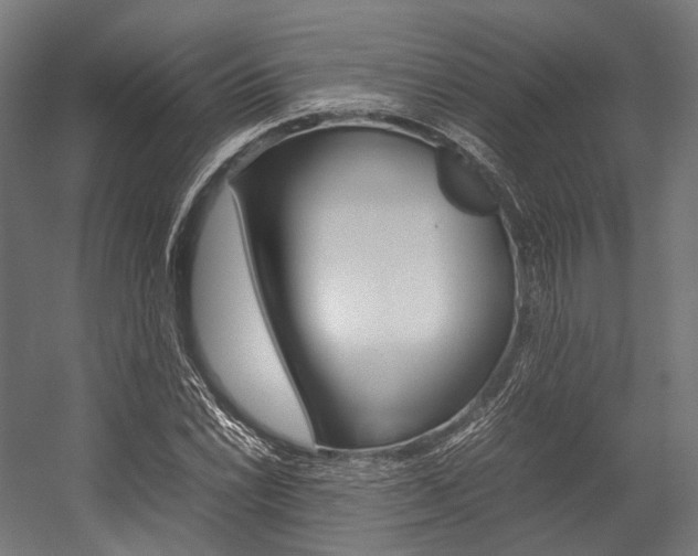X0000054431022200507290946