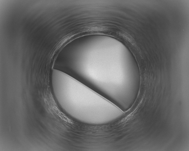 X0000054431025200507290946
