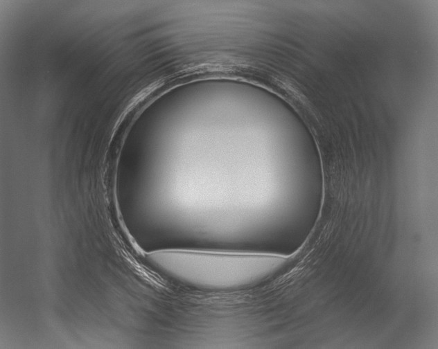 X0000054431026200507290946