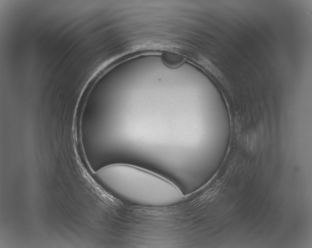 X0000054431028200507290946