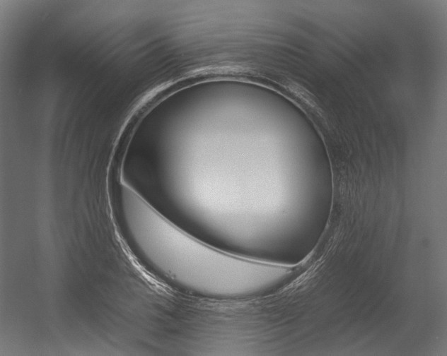 X0000054431030200507290946