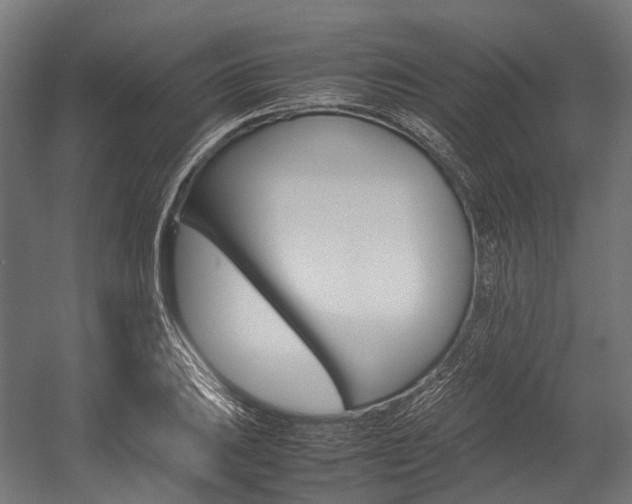 X0000054431031200507290946