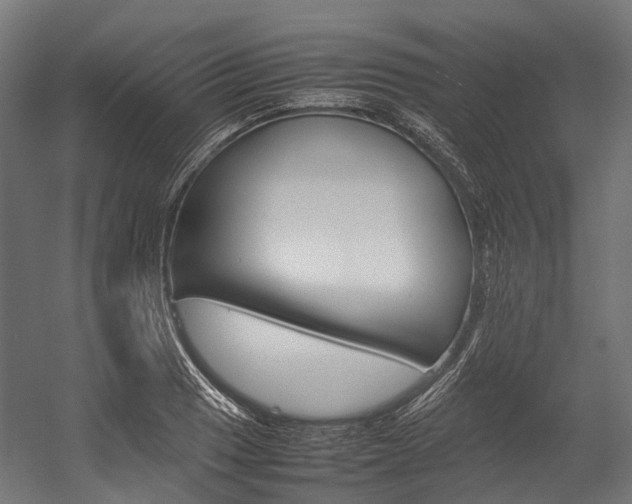 X0000054431033200507290946