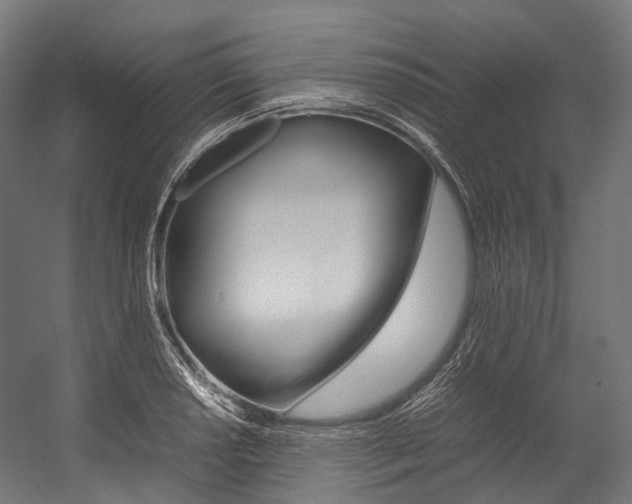 X0000054431034200507290946