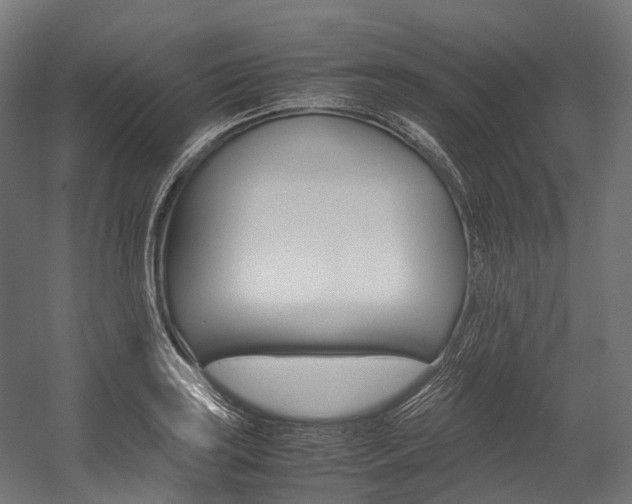 X0000054431035200507290946