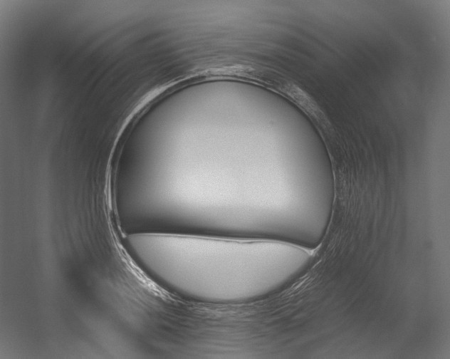 X0000054431036200507290946