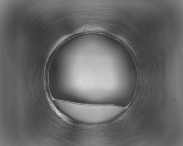 X0000054431038200507290947