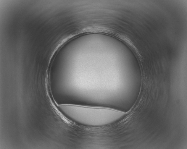 X0000054431040200507290947