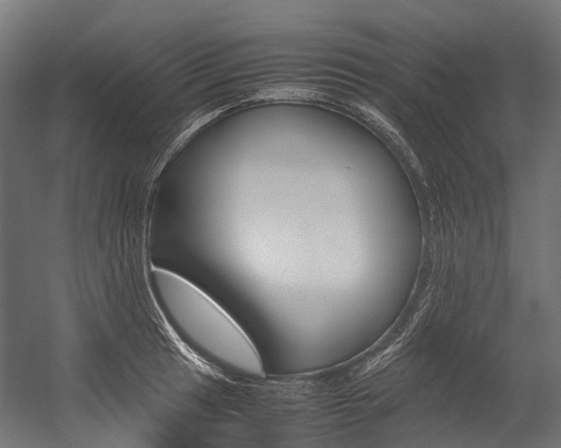 X0000054431041200507290947