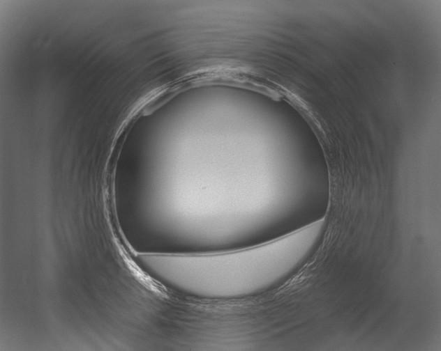 X0000054431042200507290947