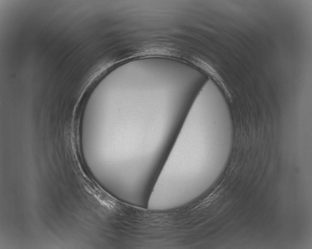 X0000054431043200507290947