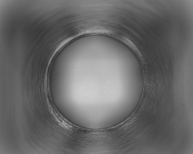 X0000054431044200507290947