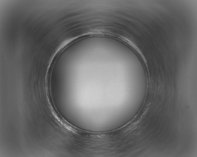 X0000054431045200507290947