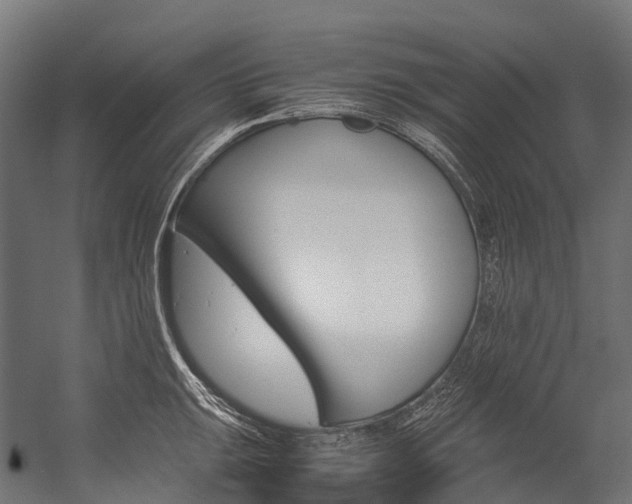 X0000054431047200507290947