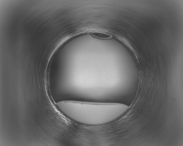 X0000054431048200507290947