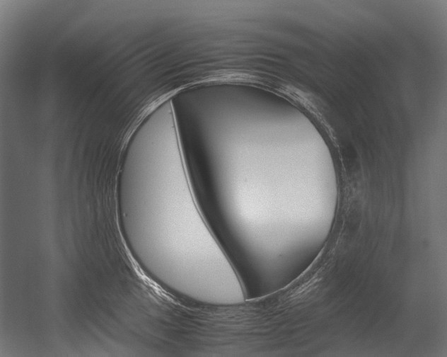 X0000054431049200507290947