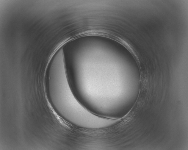 X0000054431050200507290947