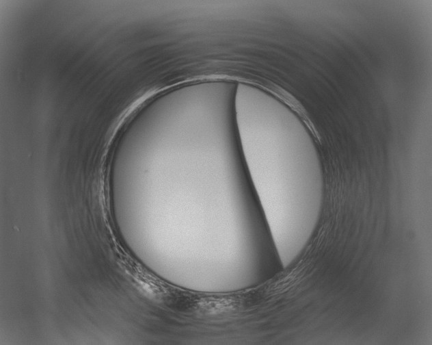 X0000054431051200507290947