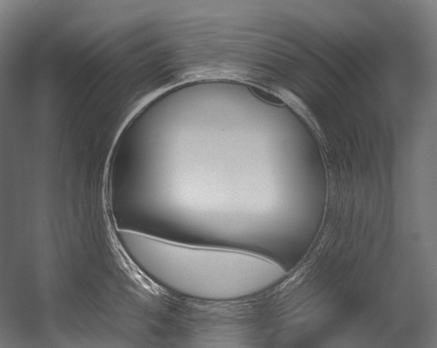X0000054431052200507290947