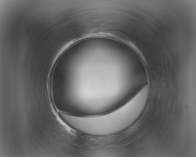 X0000054431054200507290947