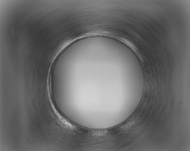 X0000054431055200507290947