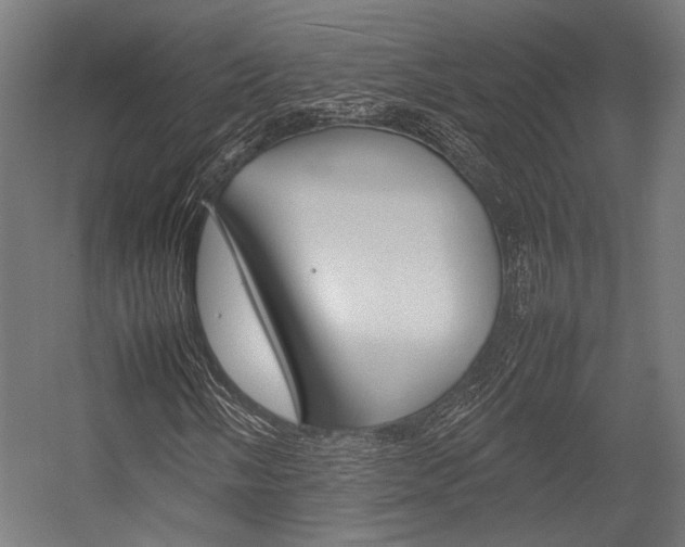 X0000054431058200507290946