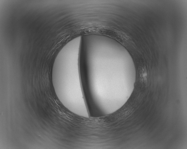 X0000054431060200507290946