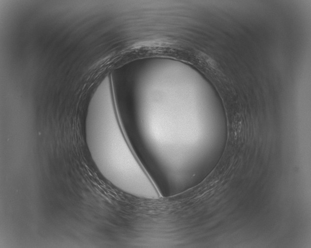 X0000054431062200507290946