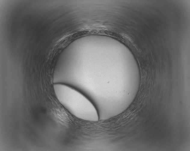 X0000054431063200507290946