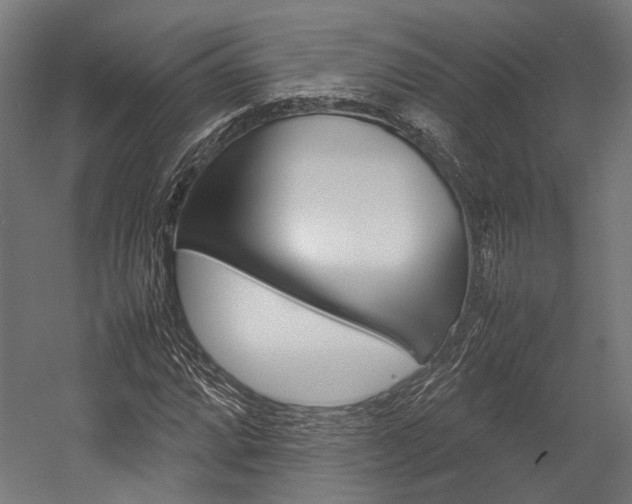 X0000054431064200507290946