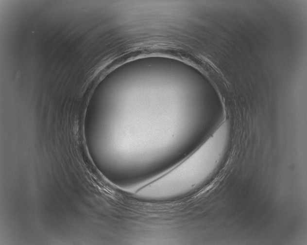 X0000054431065200507290946