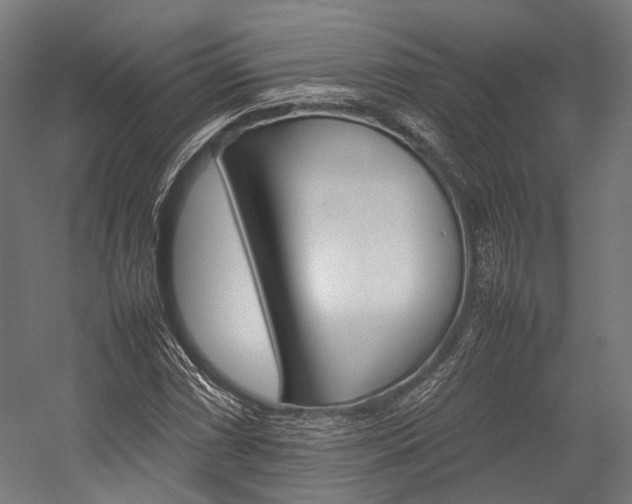 X0000054431066200507290946
