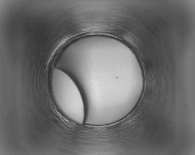X0000054431067200507290946