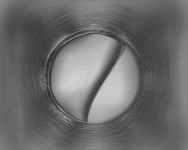 X0000054431068200507290946