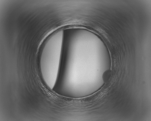X0000054431069200507290946