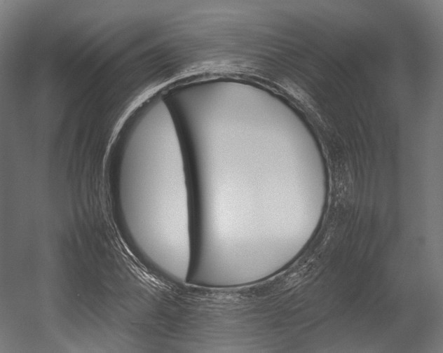 X0000054431070200507290946