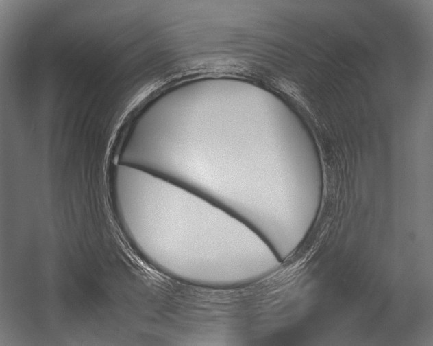 X0000054431071200507290946