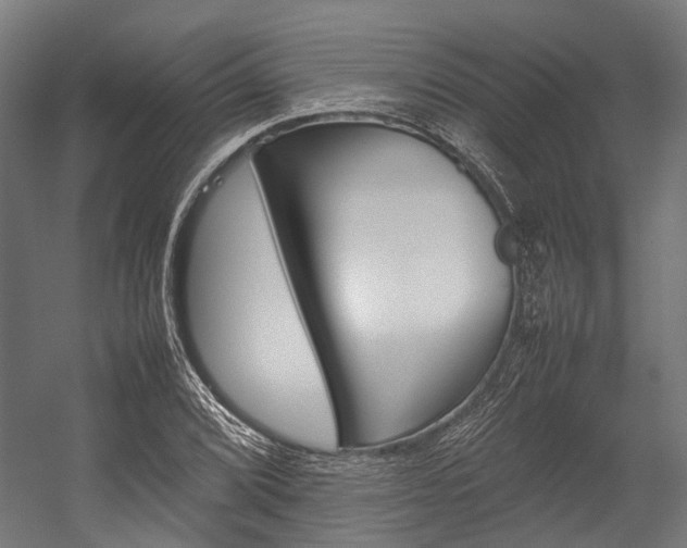 X0000054431072200507290946