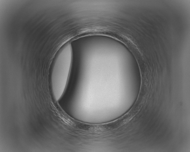 X0000054431073200507290946