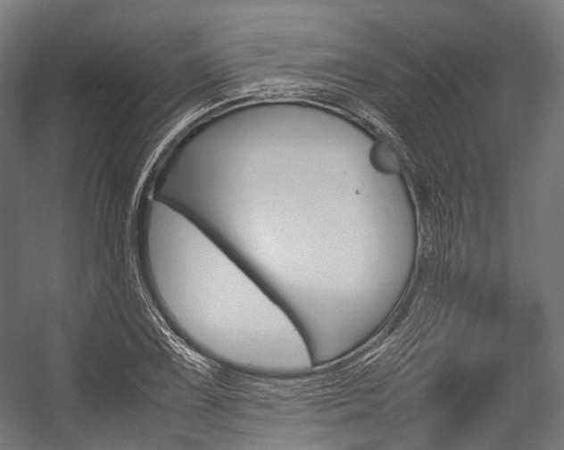 X0000054431075200507290946