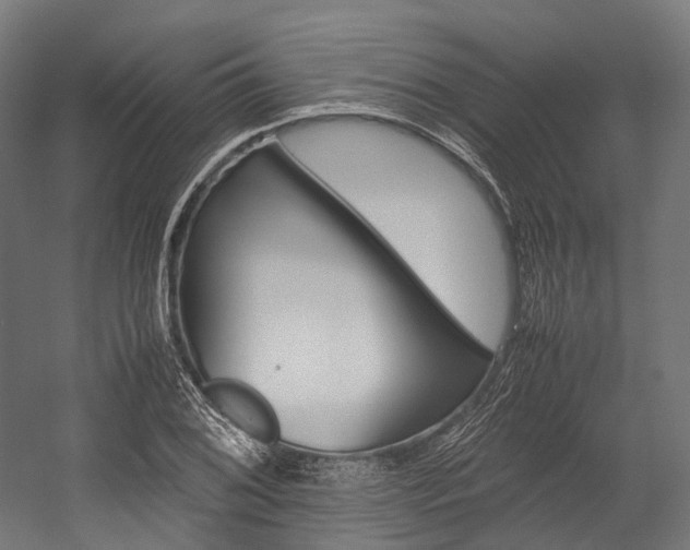 X0000054431076200507290946