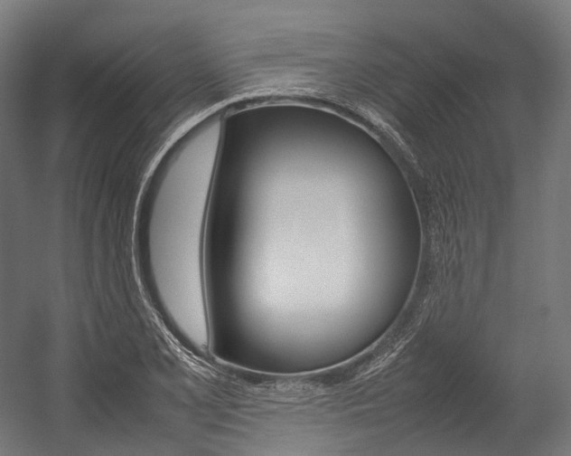 X0000054431077200507290946