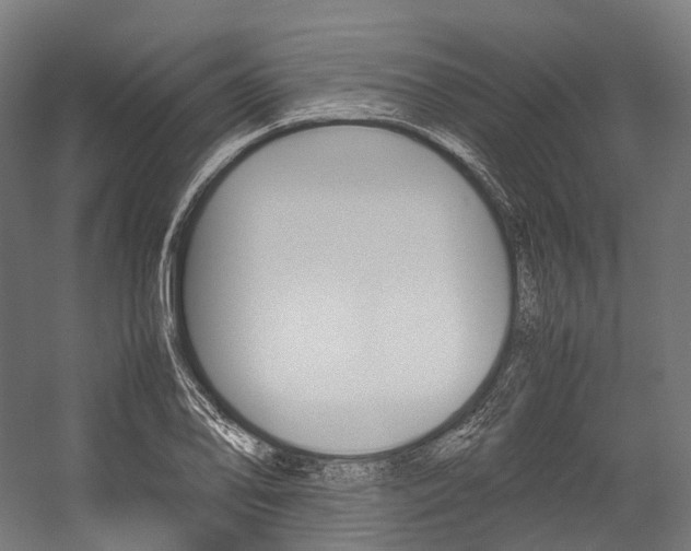 X0000054431078200507290946