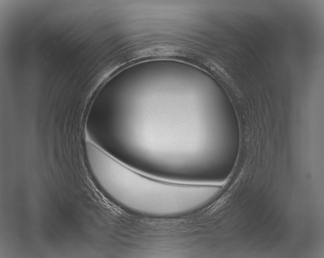 X0000054431081200507290946