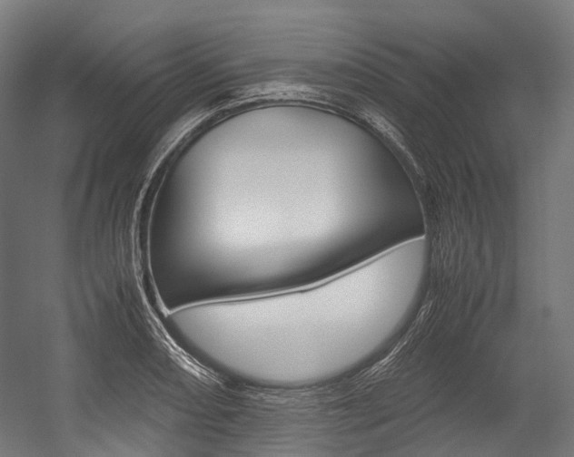 X0000054431082200507290946