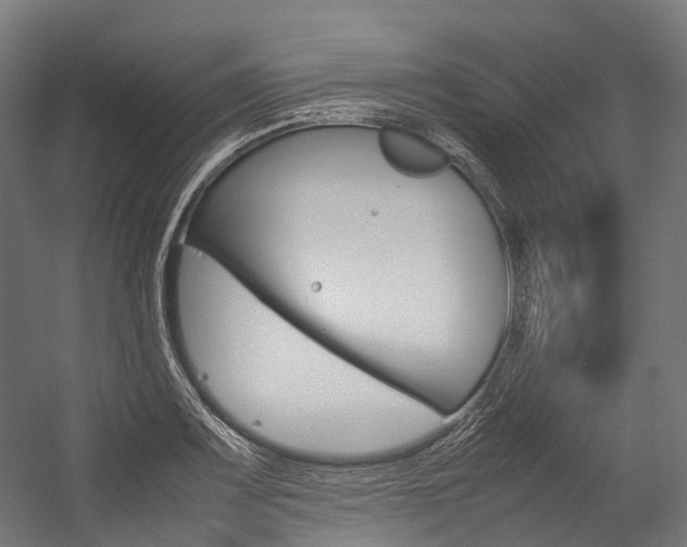 X0000054431083200507290946