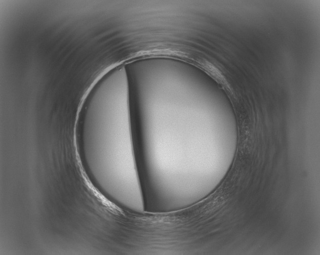 X0000054431084200507290946
