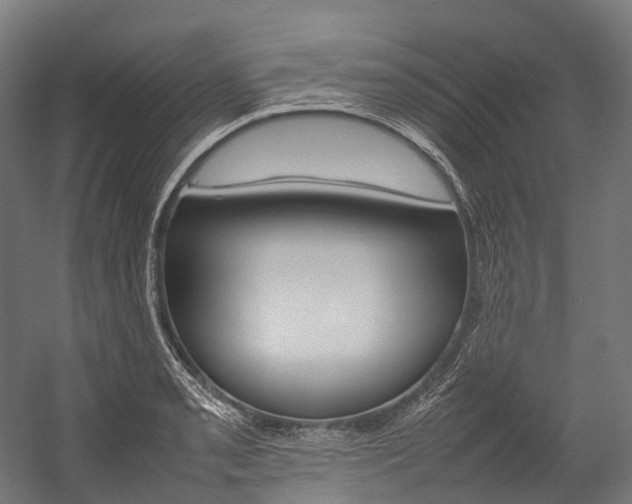X0000054431085200507290946